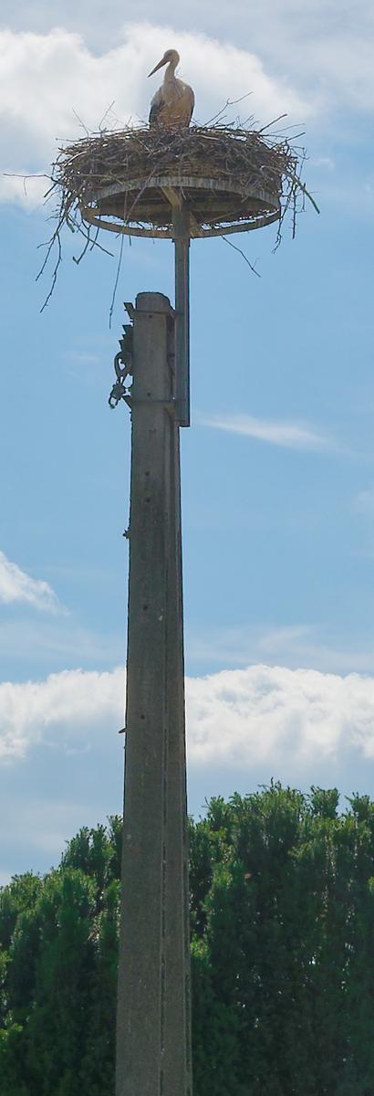 L1002430_b.jpg