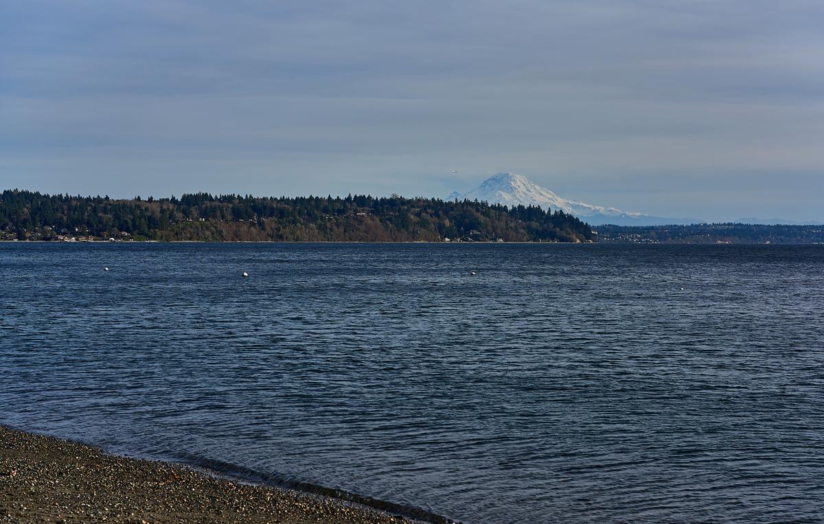 rainier-ttp-south-small.jpg