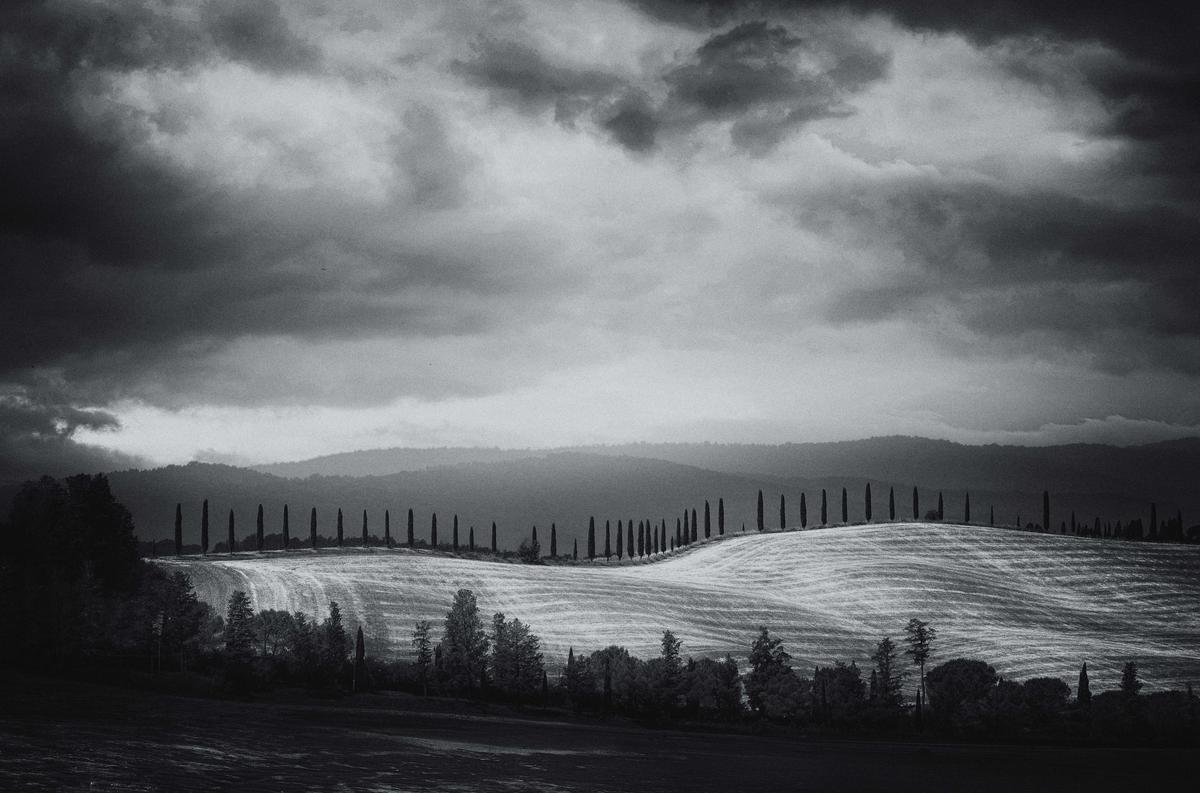 TransylTuscany.jpg