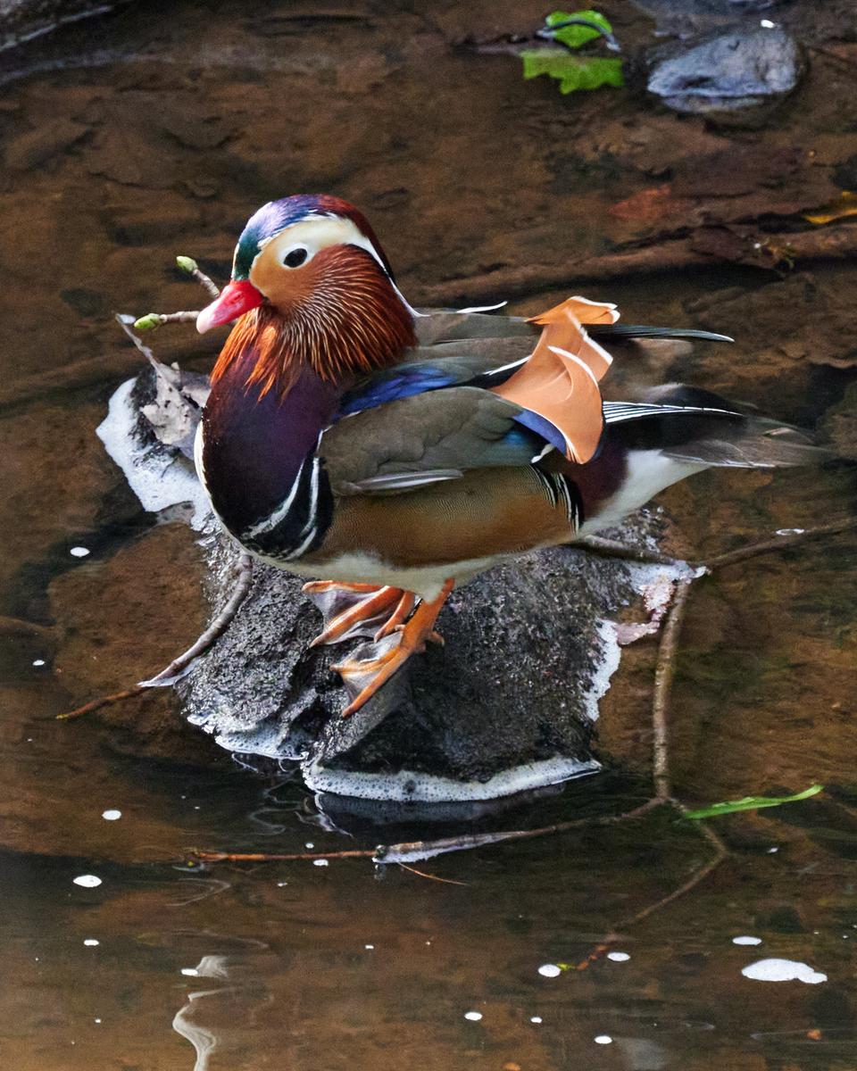 DSC_3434.jpg