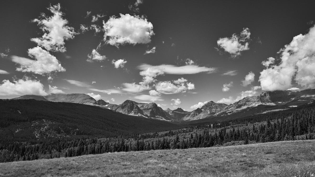 MT2ND-GFRF0798-20250726-10217-topaz.jpg