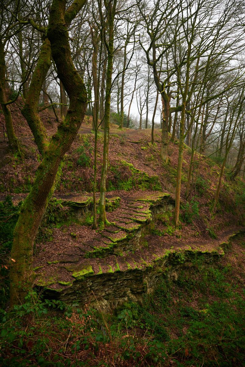 DSC_2985.jpg
