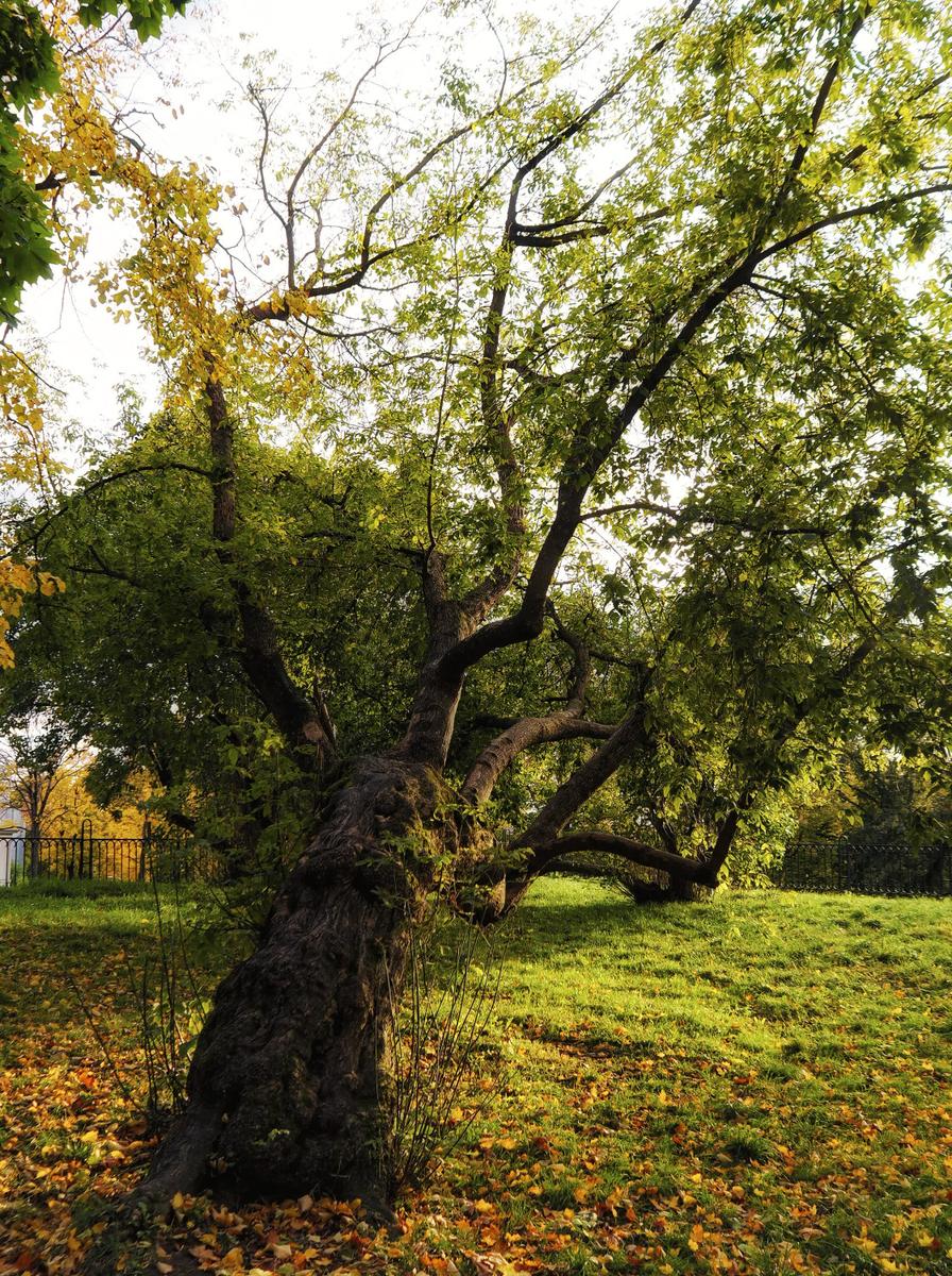 PA190079_Nik_DxO-1.jpg