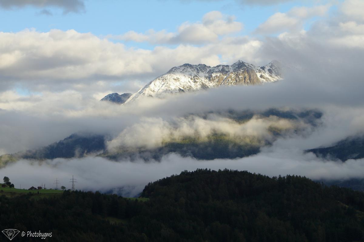 IMG_3453.jpg