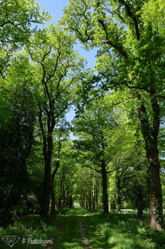 62B_2160.jpg