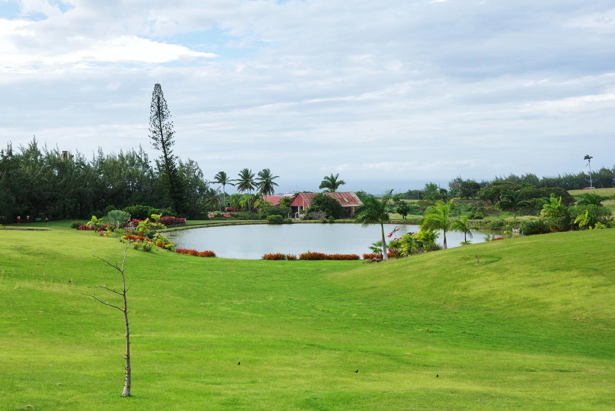 2025-12-29__-_St_Nicholas_Abbey,_Barbados.jpg