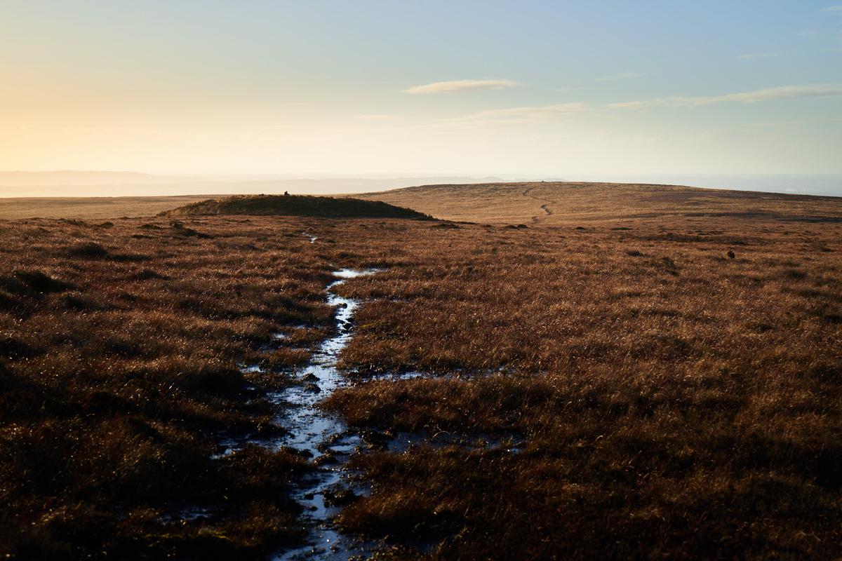 DSC_0730.jpg