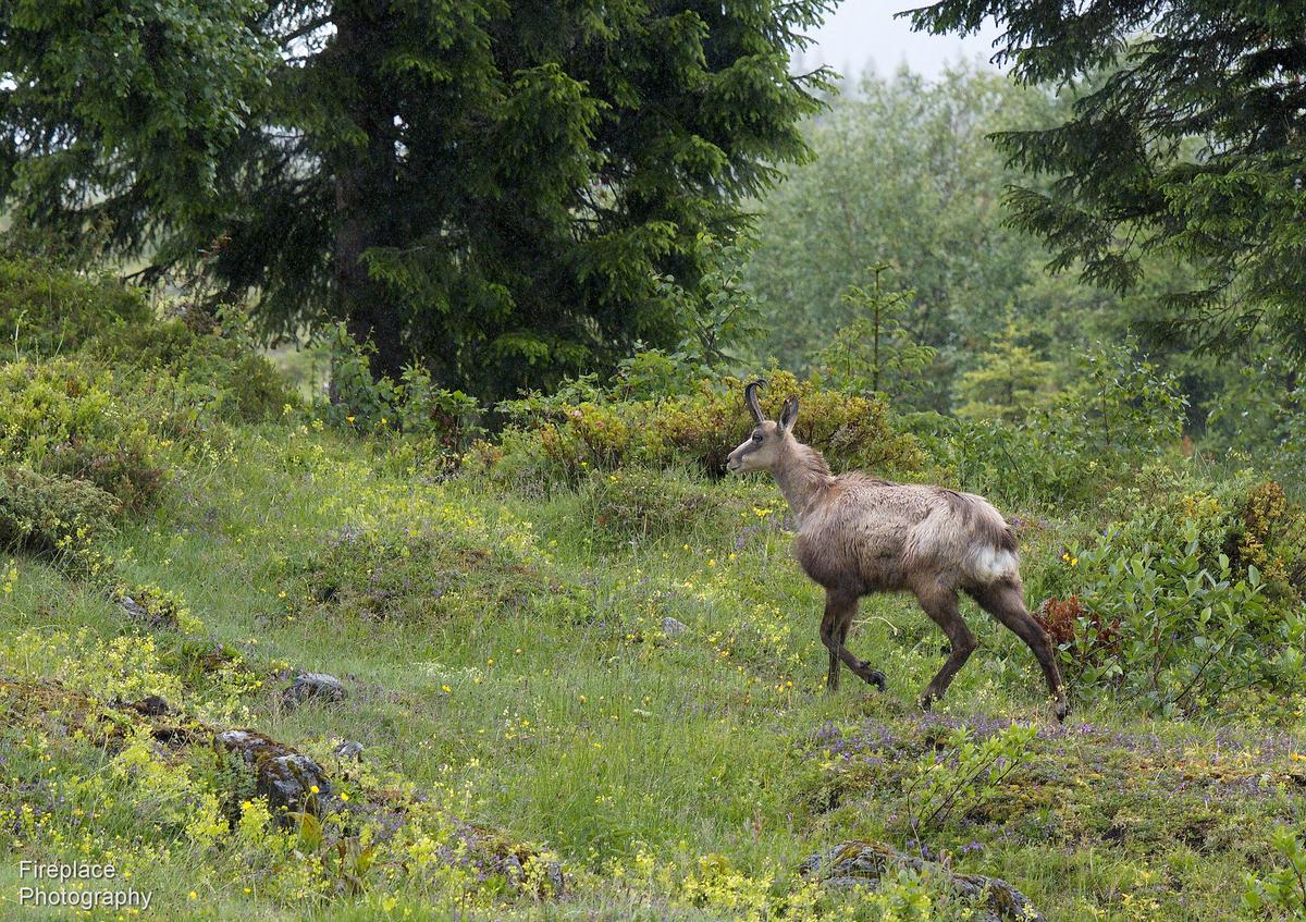 DSC_3863 smaller.JPG
