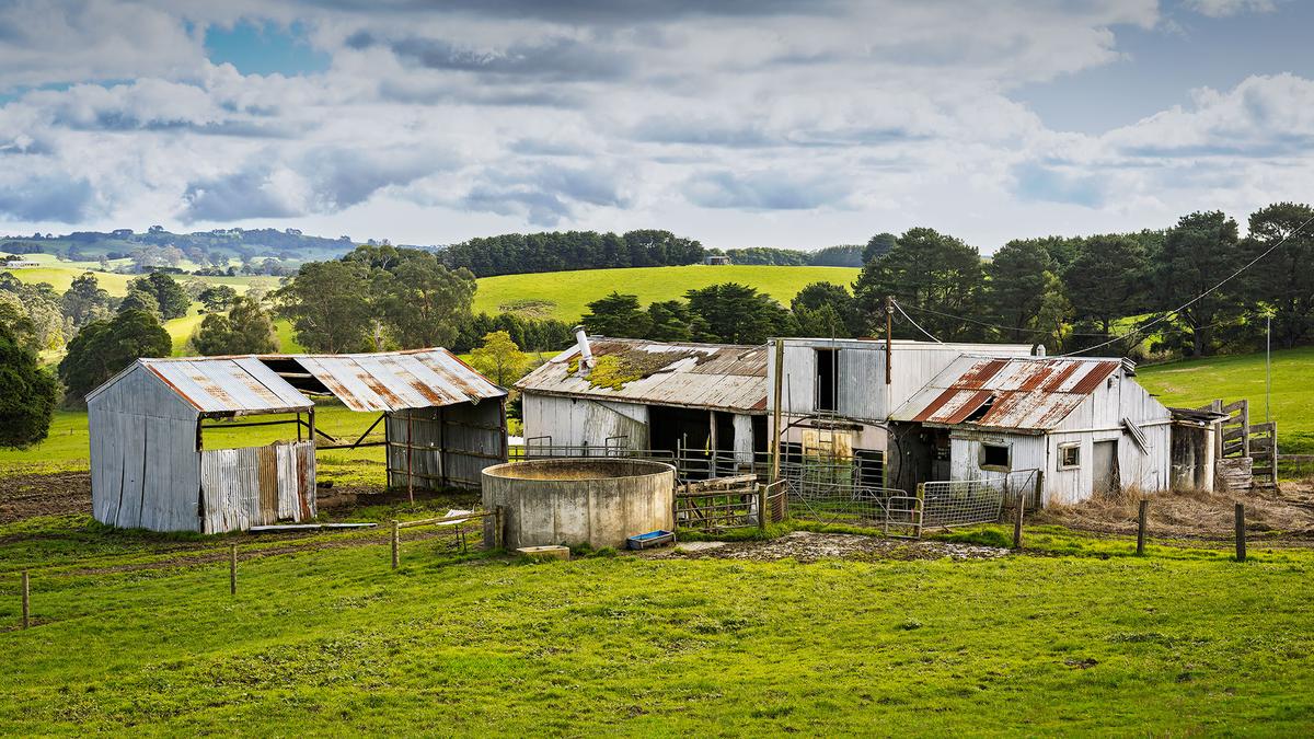 Bena_Shed_Walkerville_pola_DSC02151.jpg