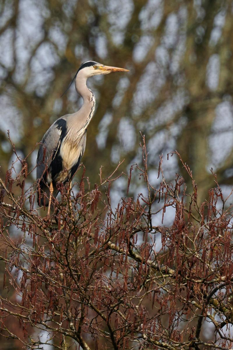 DSC_3469.jpg