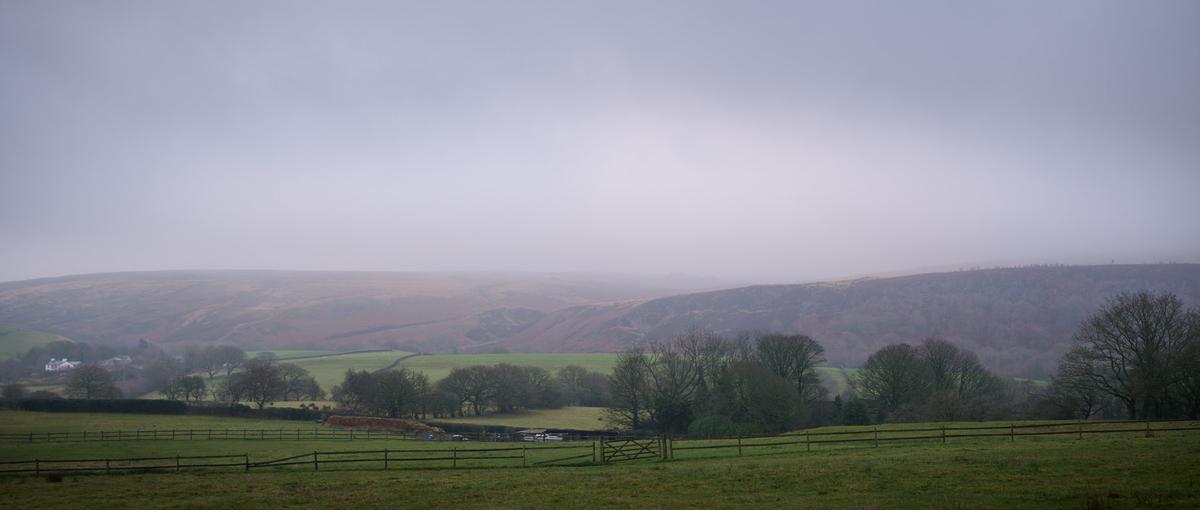 DSC_1477.jpg