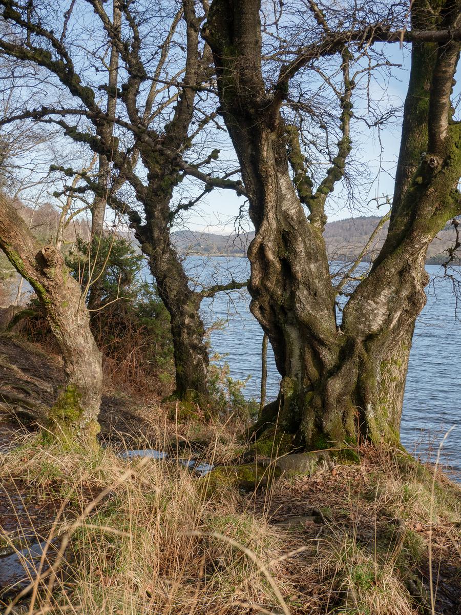 P2176143.jpg