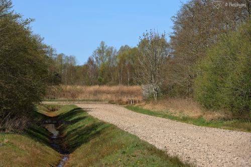 62A_1637.jpg