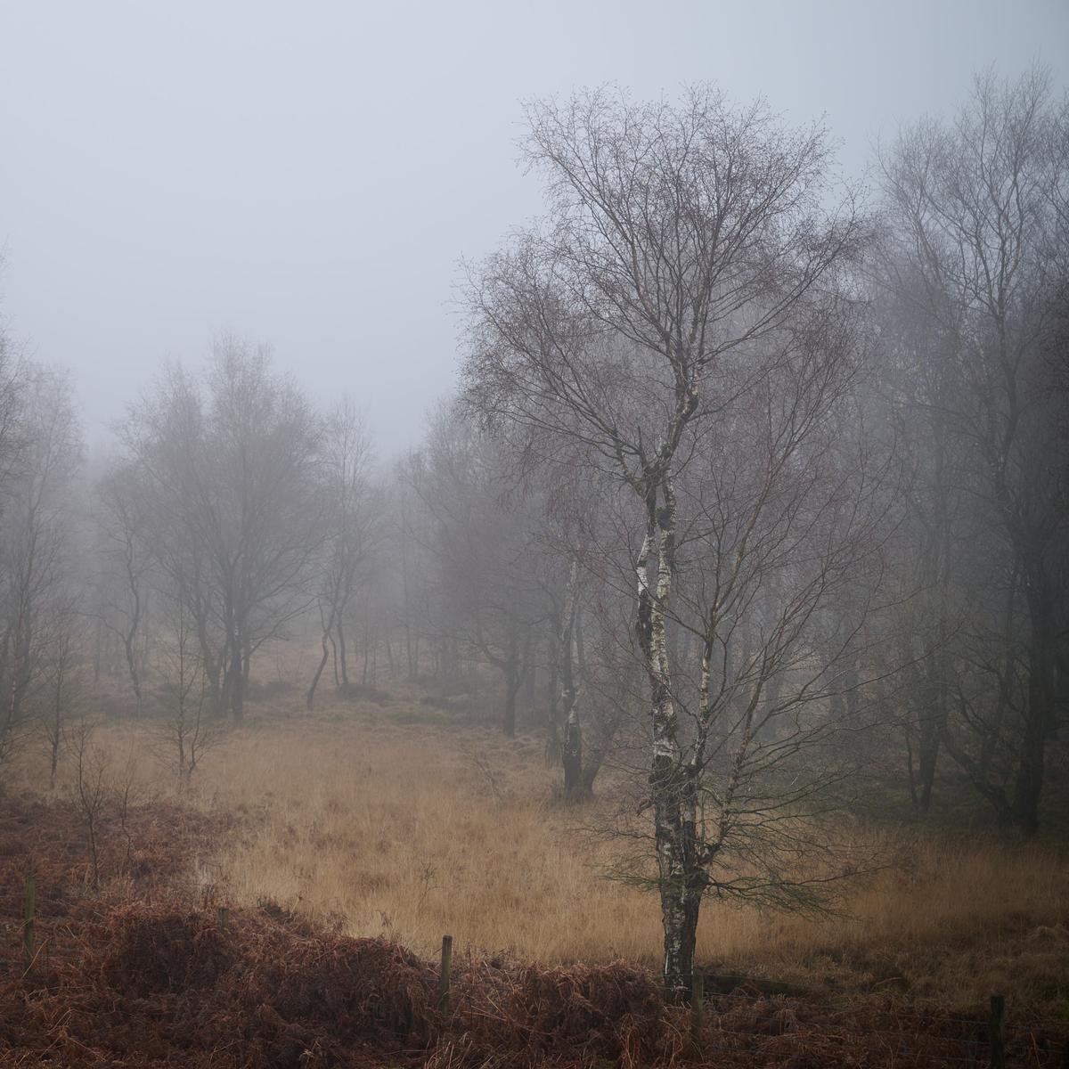 DSC_1474.jpg