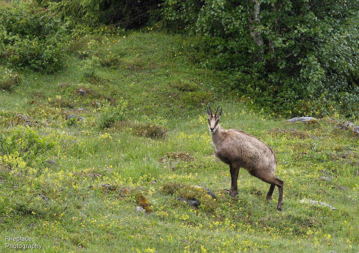 DSC_3856 smaller.JPG