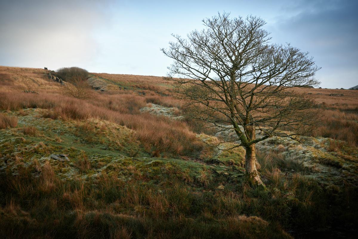 DSC_1221.jpg