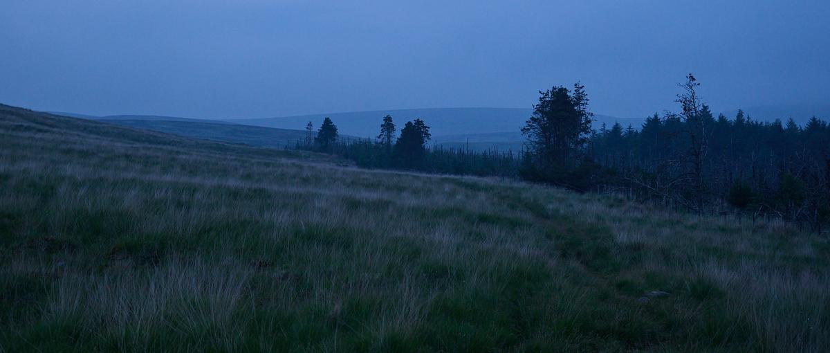 DSC_5617.jpg