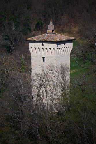 8DS_0900.jpg