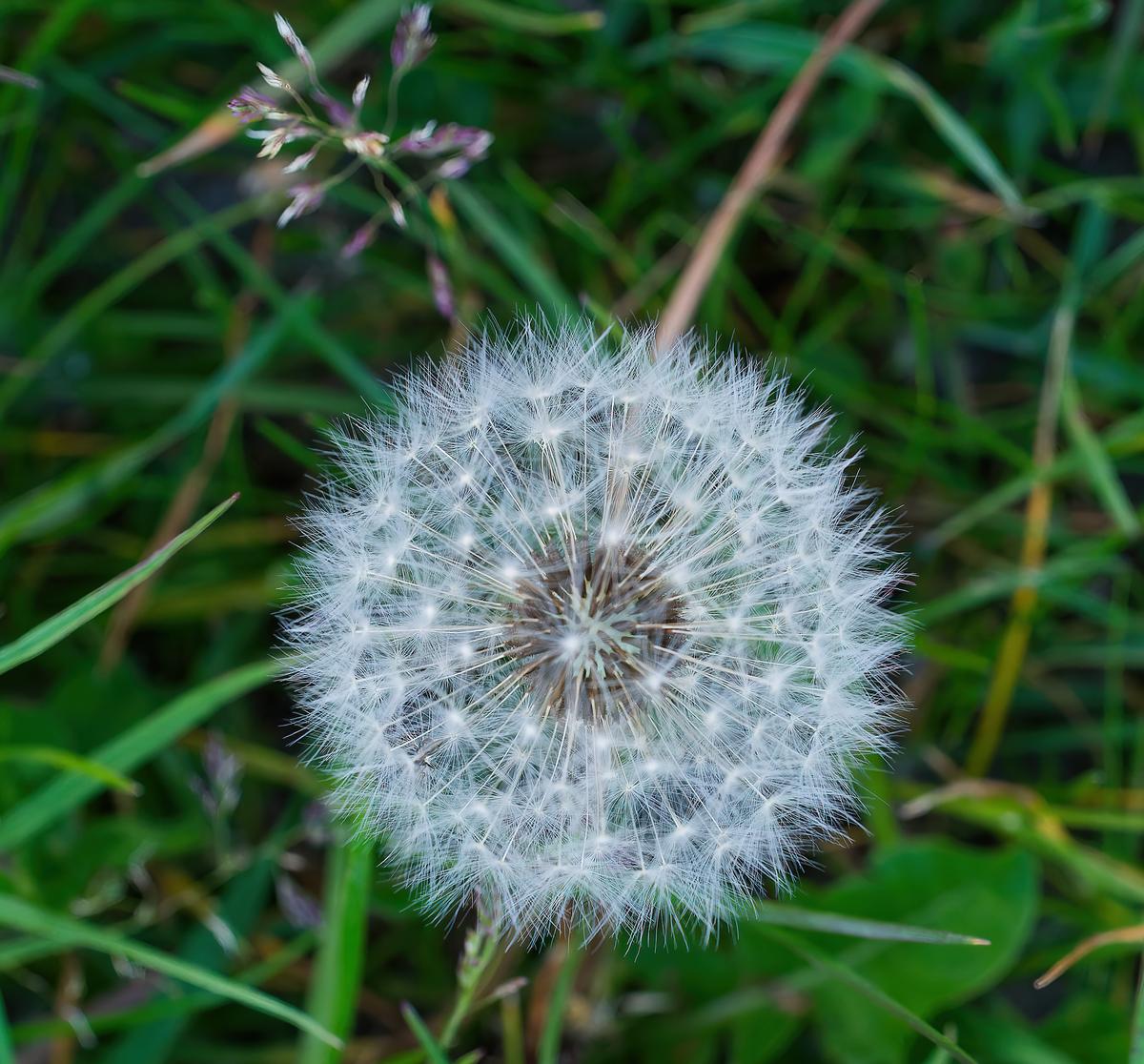 L1002350_b.jpg