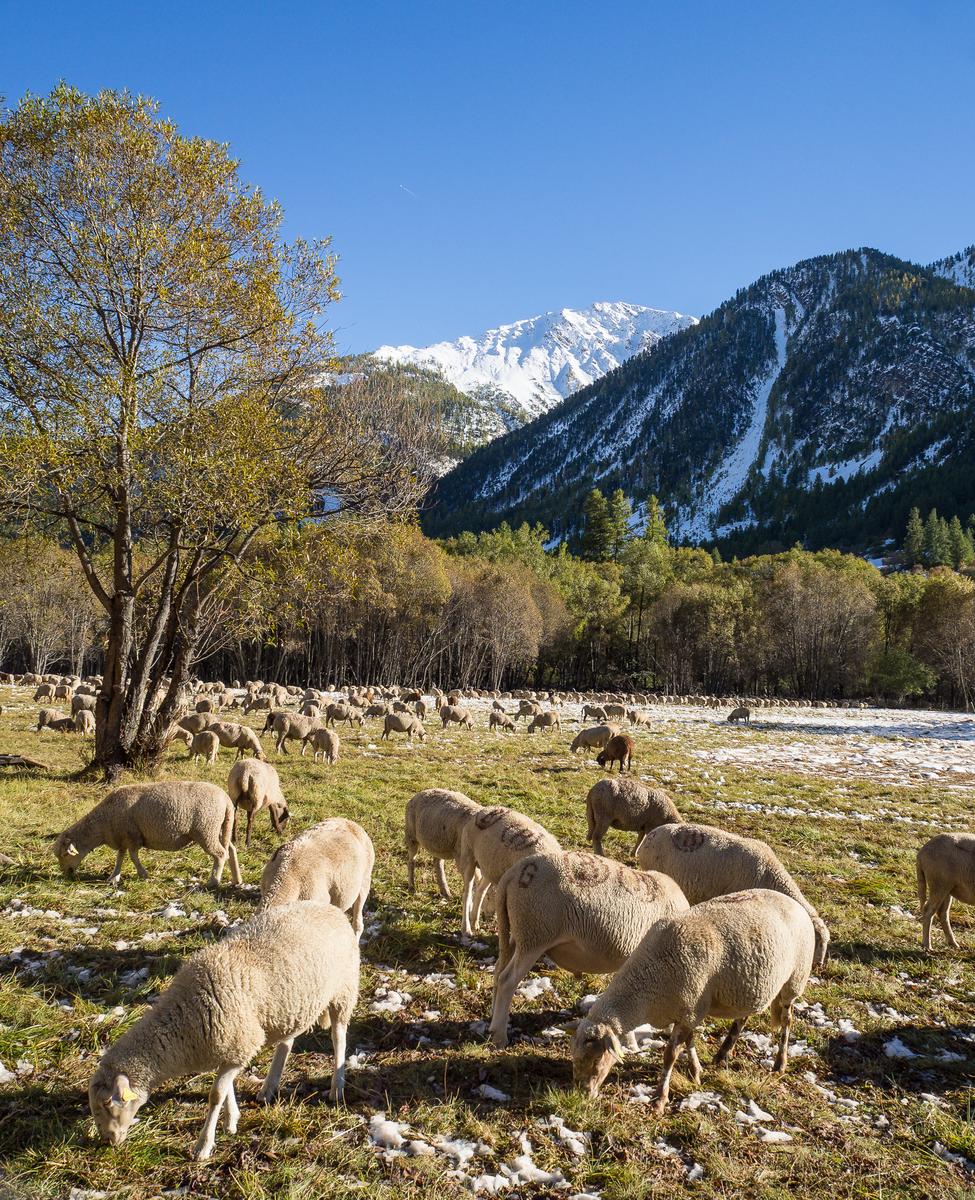 France Alps 2016 Oct-Nov-50.jpg