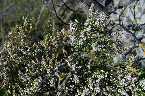 8DS_0903.jpg