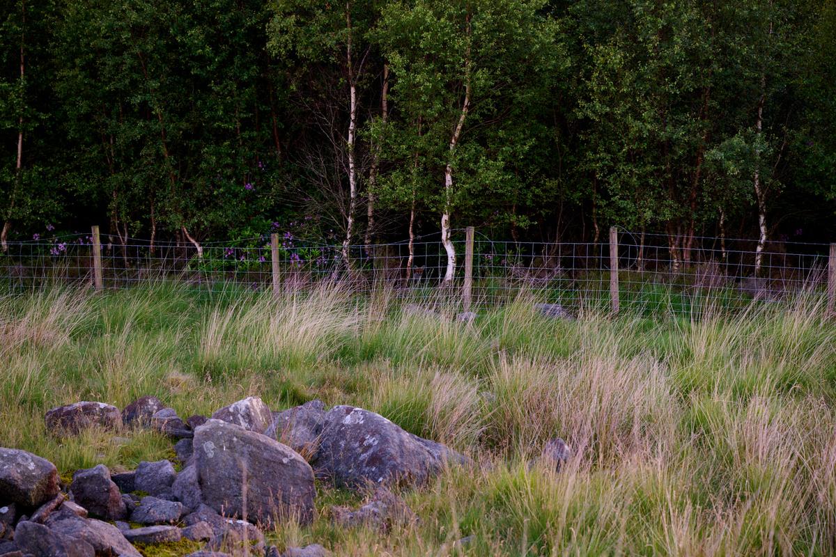 DSC_6131.jpg