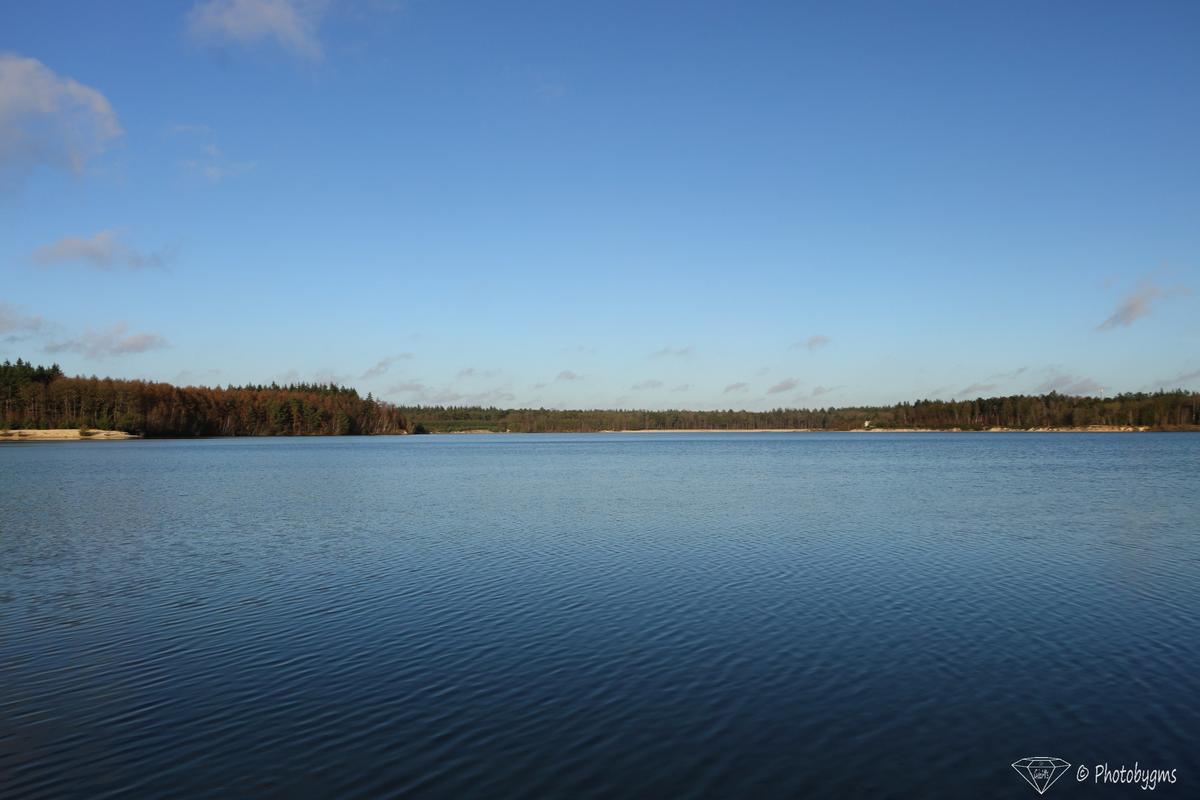 IMG_1305.jpg