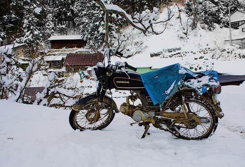 20081228-145532-_02.jpg