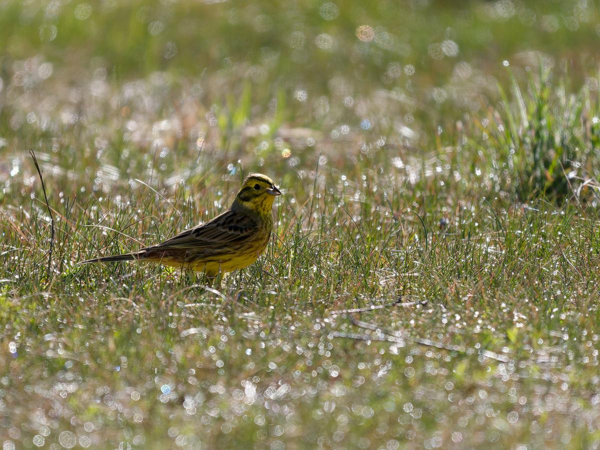 P5019297_DxO.jpg