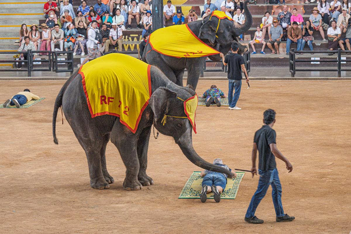 Thailand-212.jpg