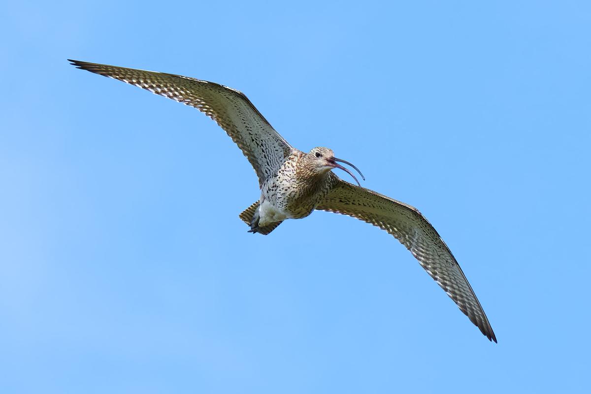 DSC_5869.jpg