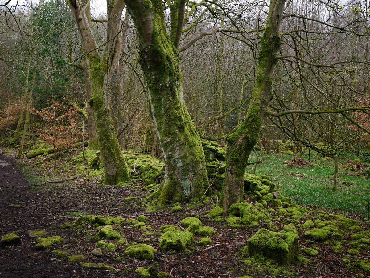 DSC_4404.jpg