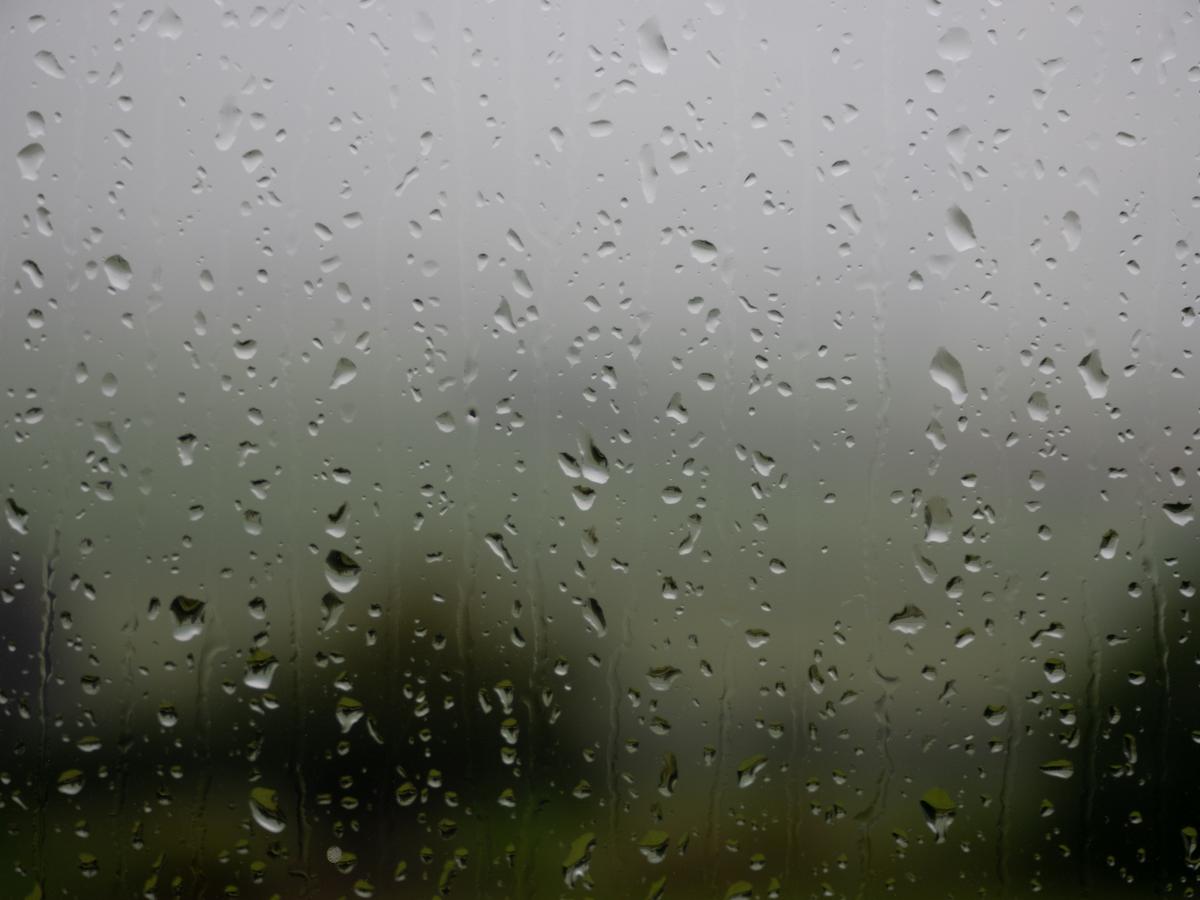 P7045144.jpg