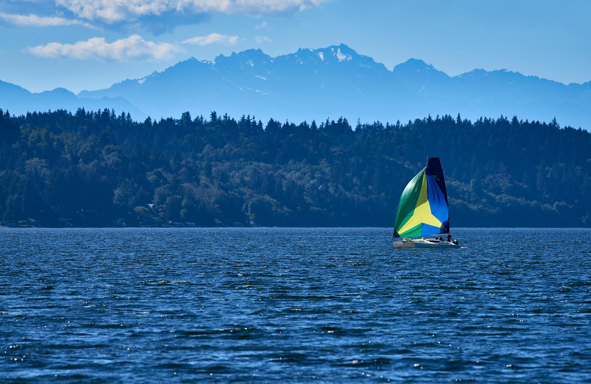 ttp-olympics-sail-small.jpg