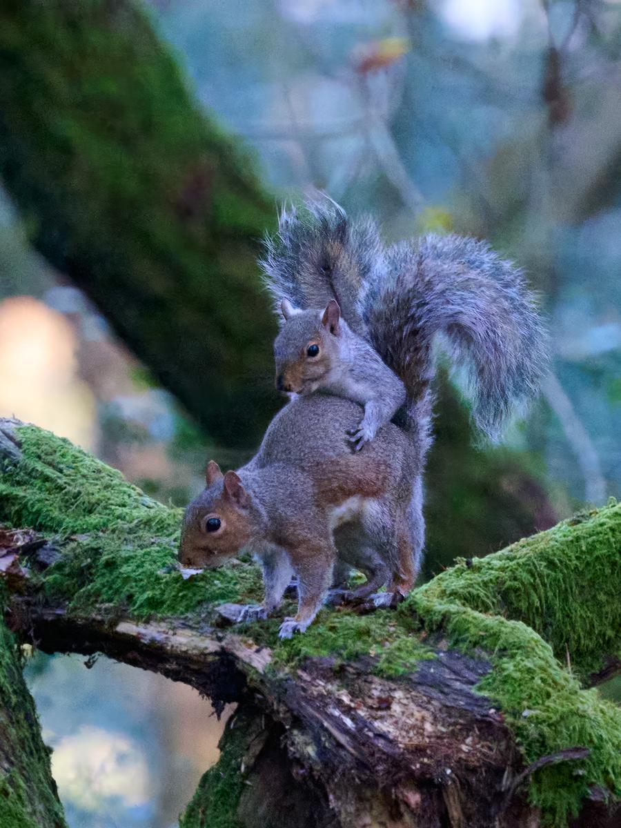 DSC_9787 1.jpg