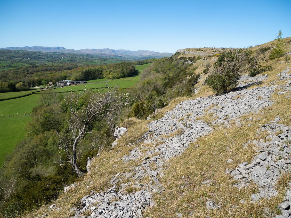 P4296471.jpg