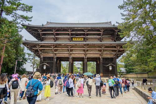 Nara 20250410 - 34.jpg