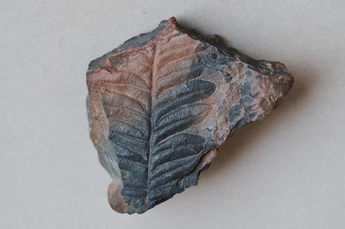 8DS_4459_1.jpg