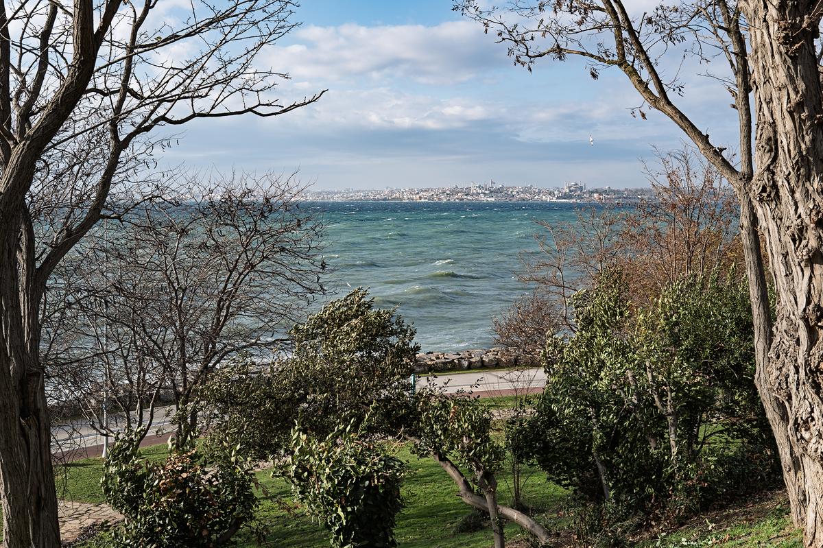 L1000478.jpg