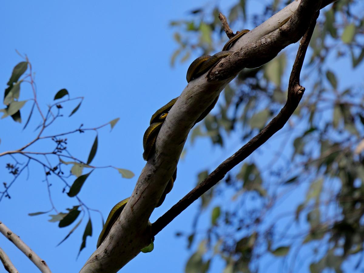 P1004334a.JPG