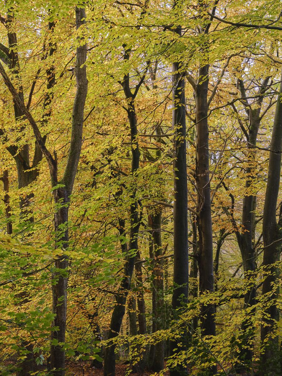 DSCF3592.jpg