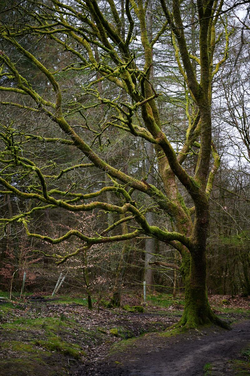 DSC_4592.jpg