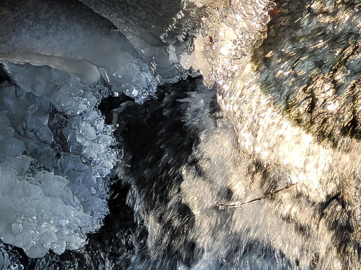 20260120_151415.jpg