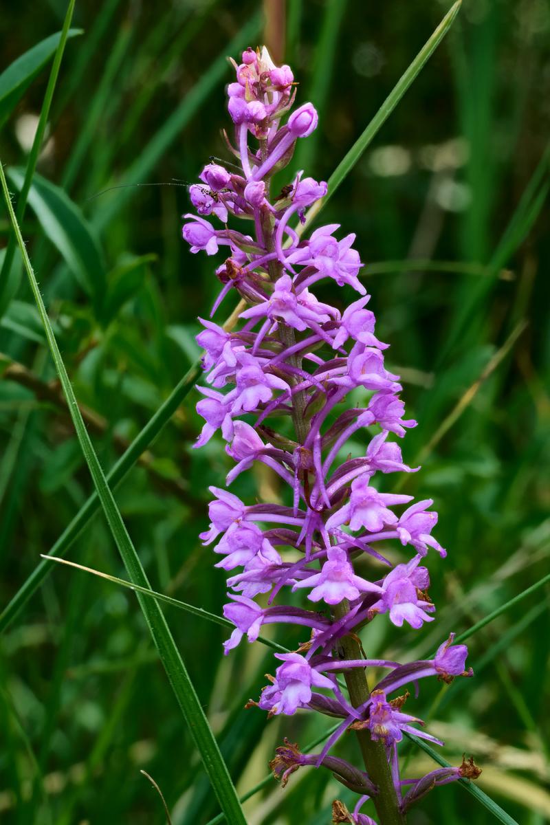 2026-06-04 19-01-02 (C,S1)_1.jpg
