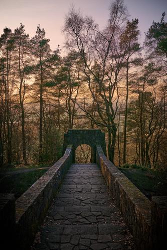 DSC_0240.jpg
