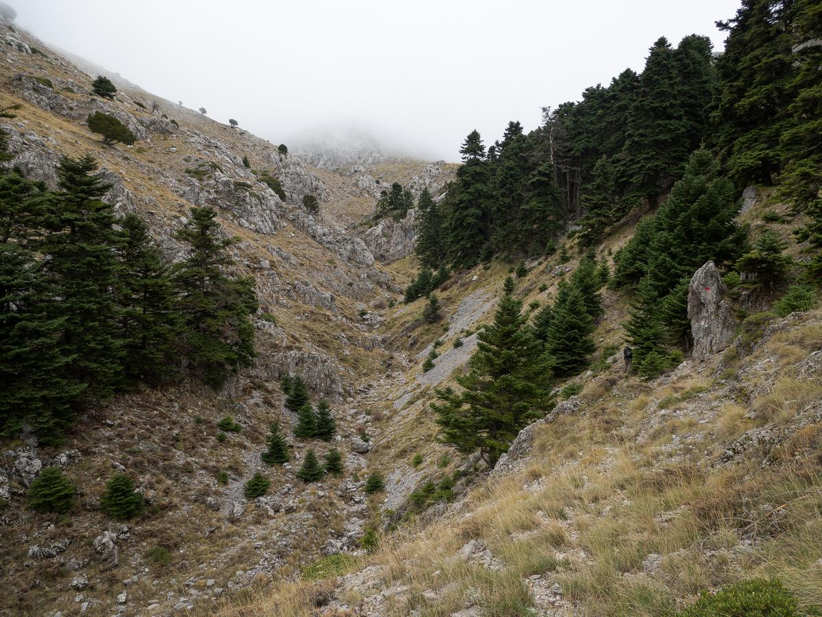 PB065857.jpg