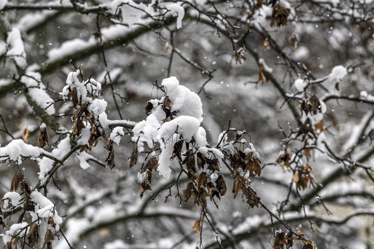 DSC_1558.jpg