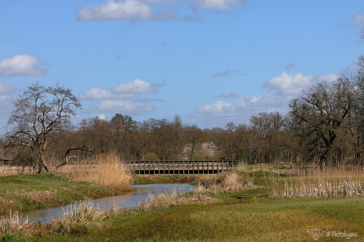 62A_8094.jpg