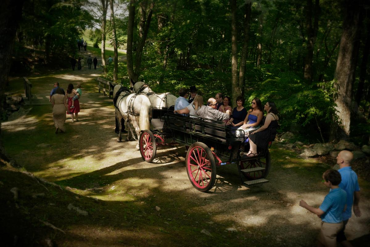 ForestWeddingRide.jpg