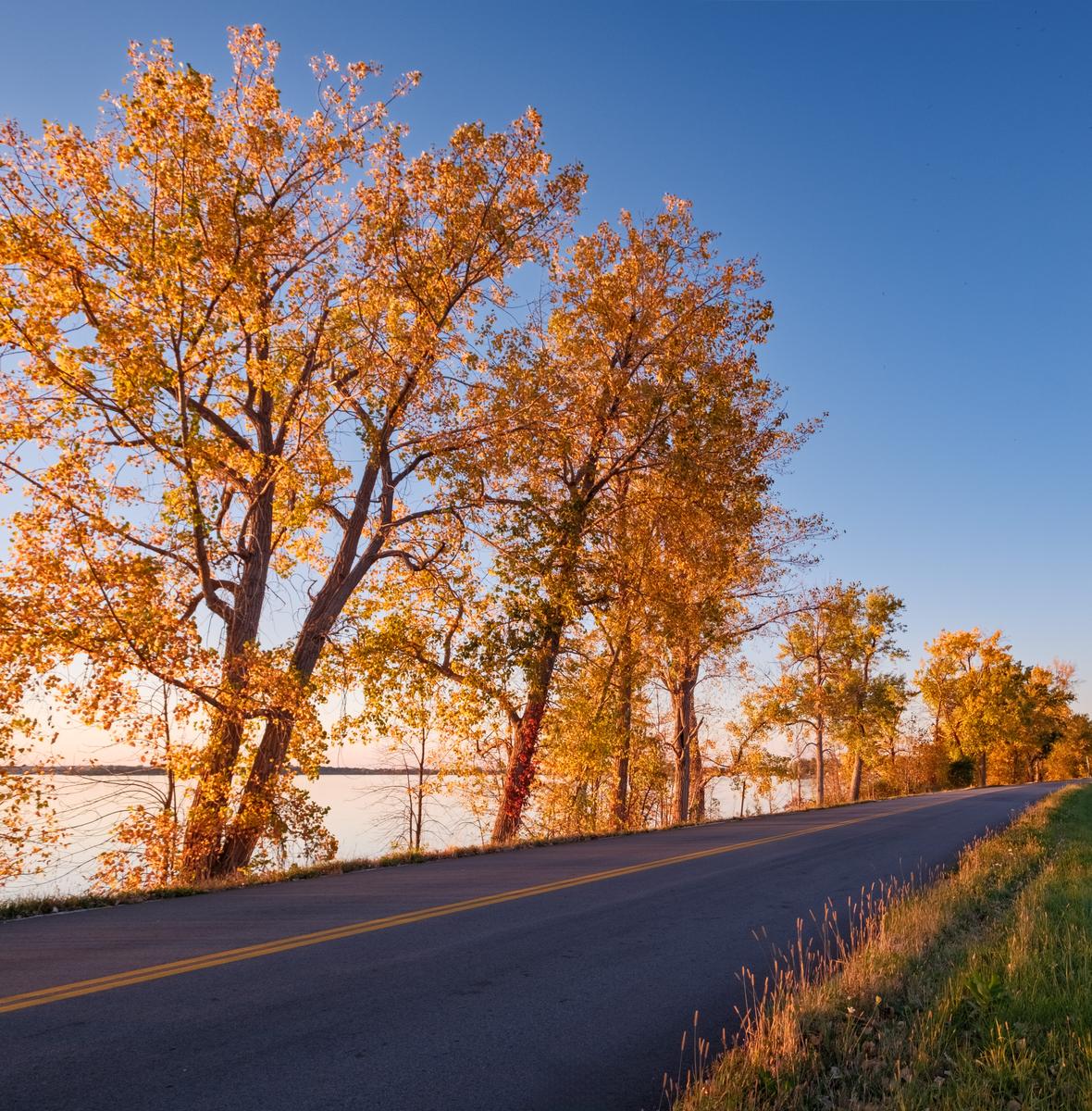 G - Autumn Road.jpg